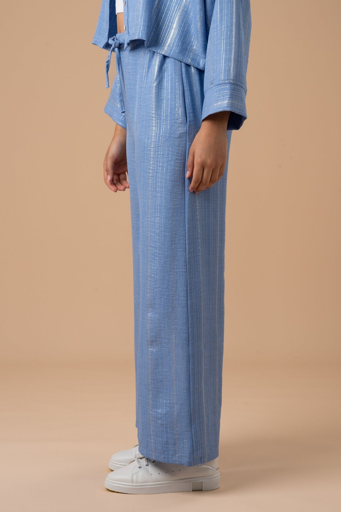 Blue Metallic stripes Pants - nahlaelalfydesigns