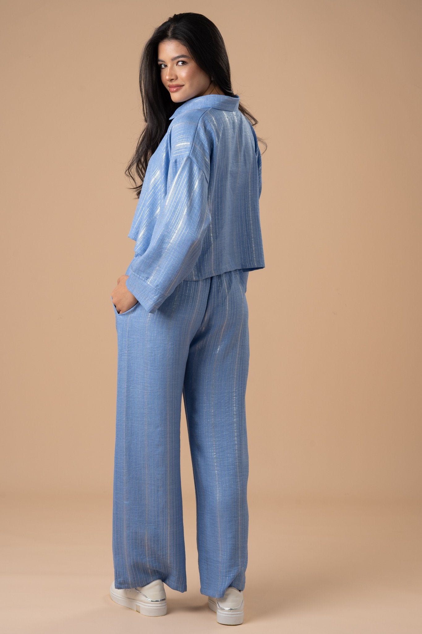 Blue Metallic stripes Pants - nahlaelalfydesigns